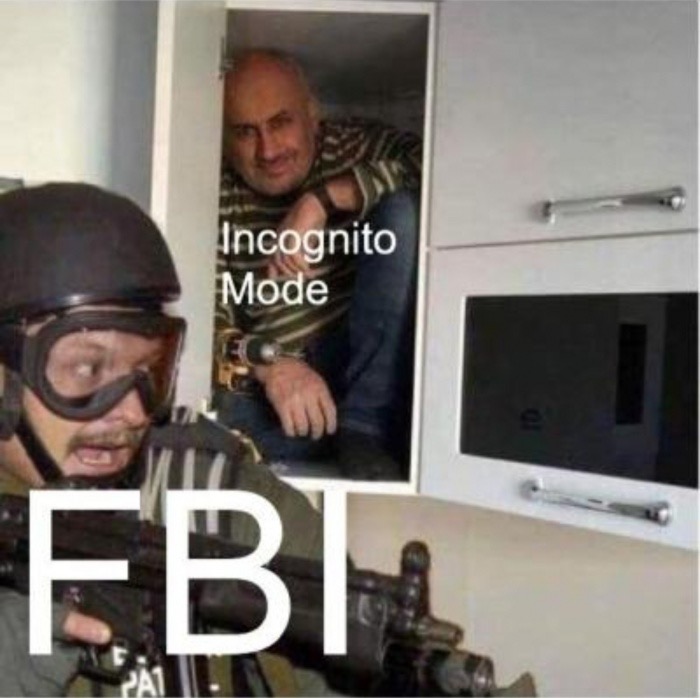 incognito fbi meme - Incognito Mode