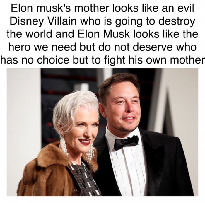 elon musk's mom - Elon musk's mother looks an evil Disney Villain who is going to destroy the world and Elon Musk looks the hero we need but do not deserve who has no choice but to fight his own mother