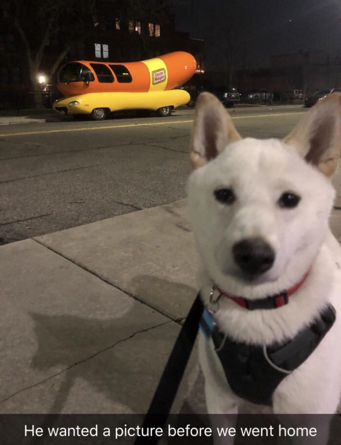 pungsan dog - He wanted a picture before we went home