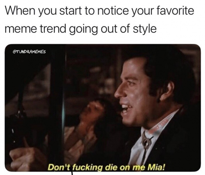 meme - you re the designated driver meme - When you start to notice your favorite meme trend going out of style Don't fucking die on me Mia!