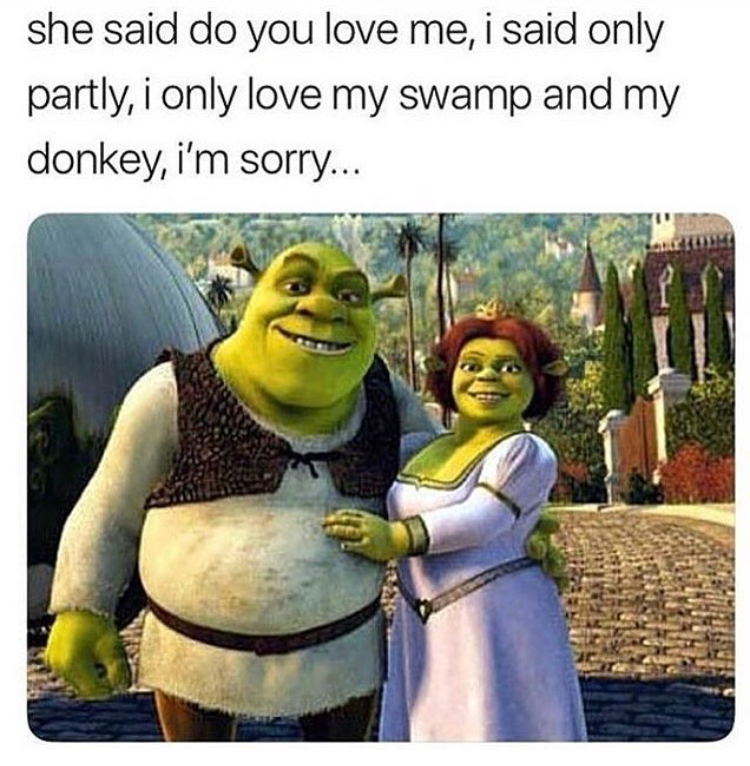 meme - shrek e fiona - she said do you love me, i said only partly, i only love my swamp and my donkey, i'm sorry...