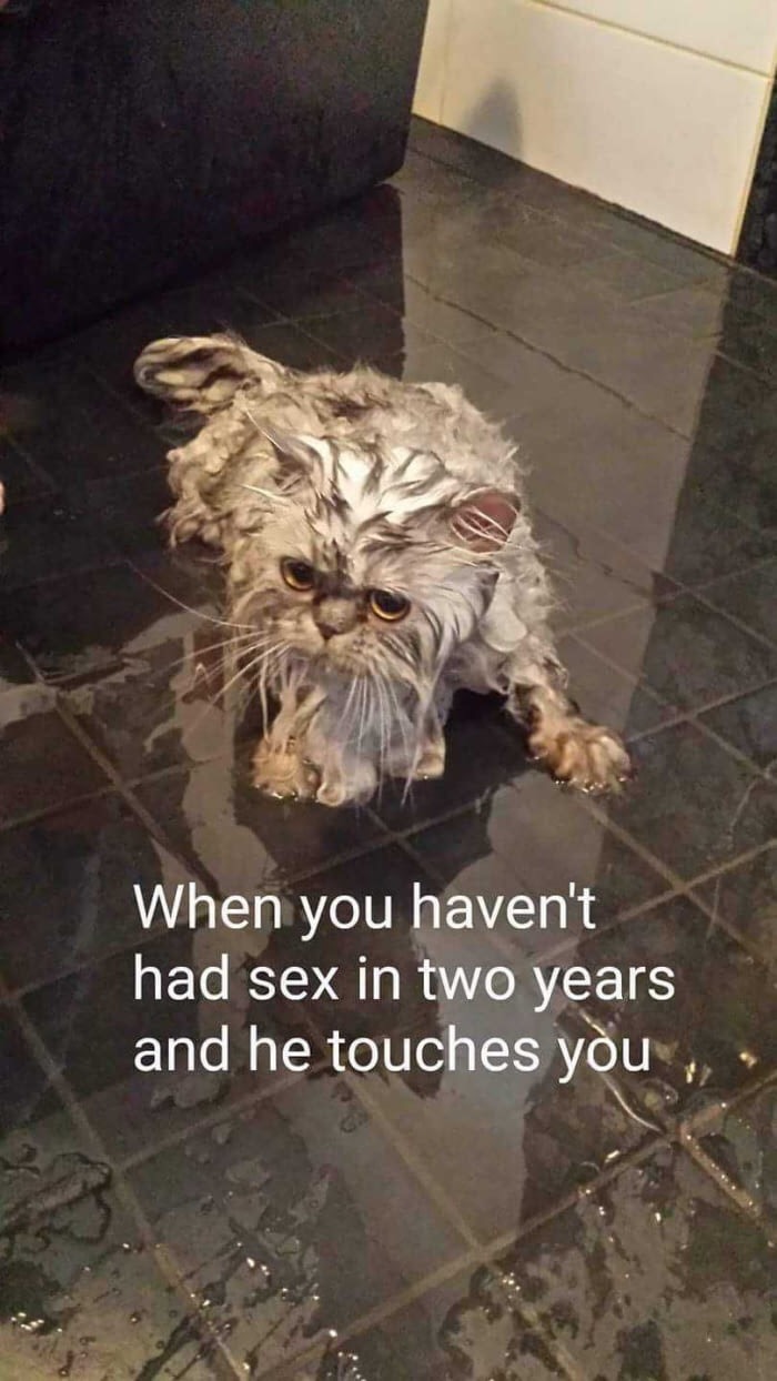 meme - photo caption - When you haven't had sex in two years and he touches you,