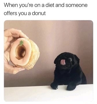 you re on a diet and someone offers you a donut - When you're on a diet and someone offers you a donut