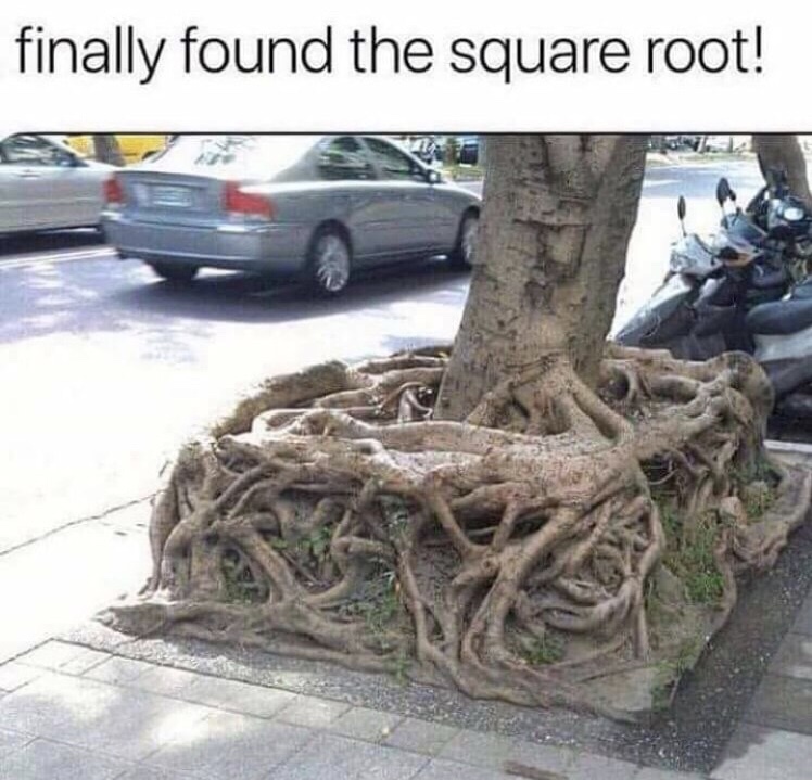 finally found the square root - finally found the square root!