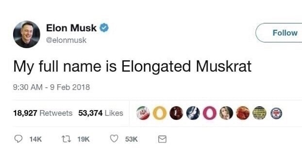 phil neville just battered the wife - Elon Musk My full name is Elongated Muskrat Oooo& 18,927 53,374 14K 19 53K