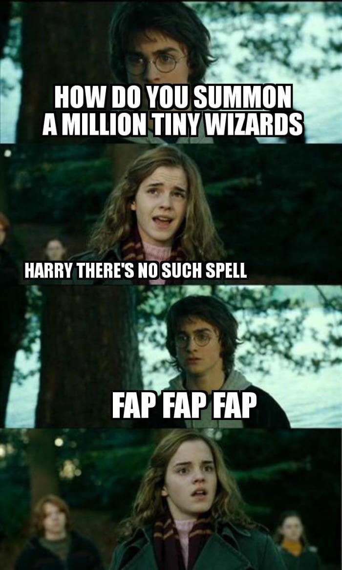 horny harry memes - How Do You Summoni A Million Tiny Wizards Harry There'S No Such Spell Fap Fap Fap