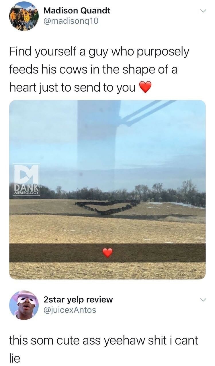cows in the shape of a heart - Madison Quandt Find yourself a guy who purposely feeds his cows in the shape of a heart just to send to you Rank Memeology 2star yelp review this som cute ass yeehaw shit i cant lie