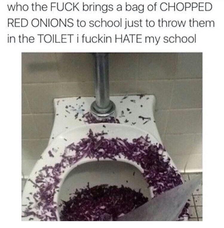 school toilet memes - who the Fuck brings a bag of Chopped Red Onions to school just to throw them in the Toilet I fuckin Hate my school