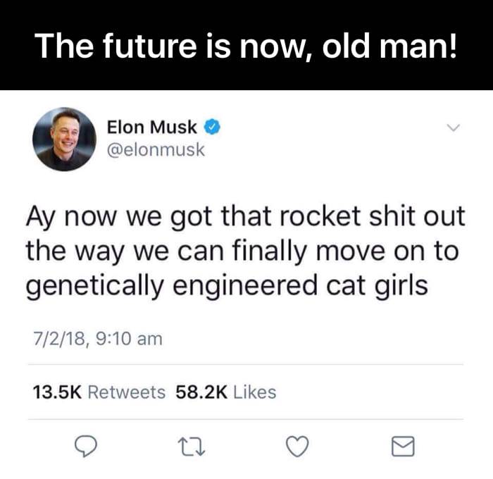 amd the future is fusion - The future is now, old man! Elon Musk Ay now we got that rocket shit out the way we can finally move on to genetically engineered cat girls 7218,