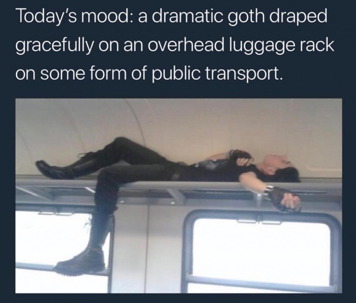 dramatic goth meme - Today's mood a dramatic goth draped gracefully on an overhead luggage rack on some form of public transport.