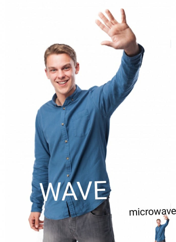 Wave microwave