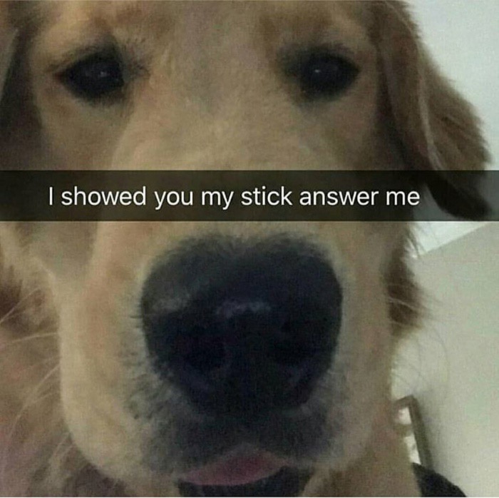 showed you my stick answer me - I showed you my stick answer me