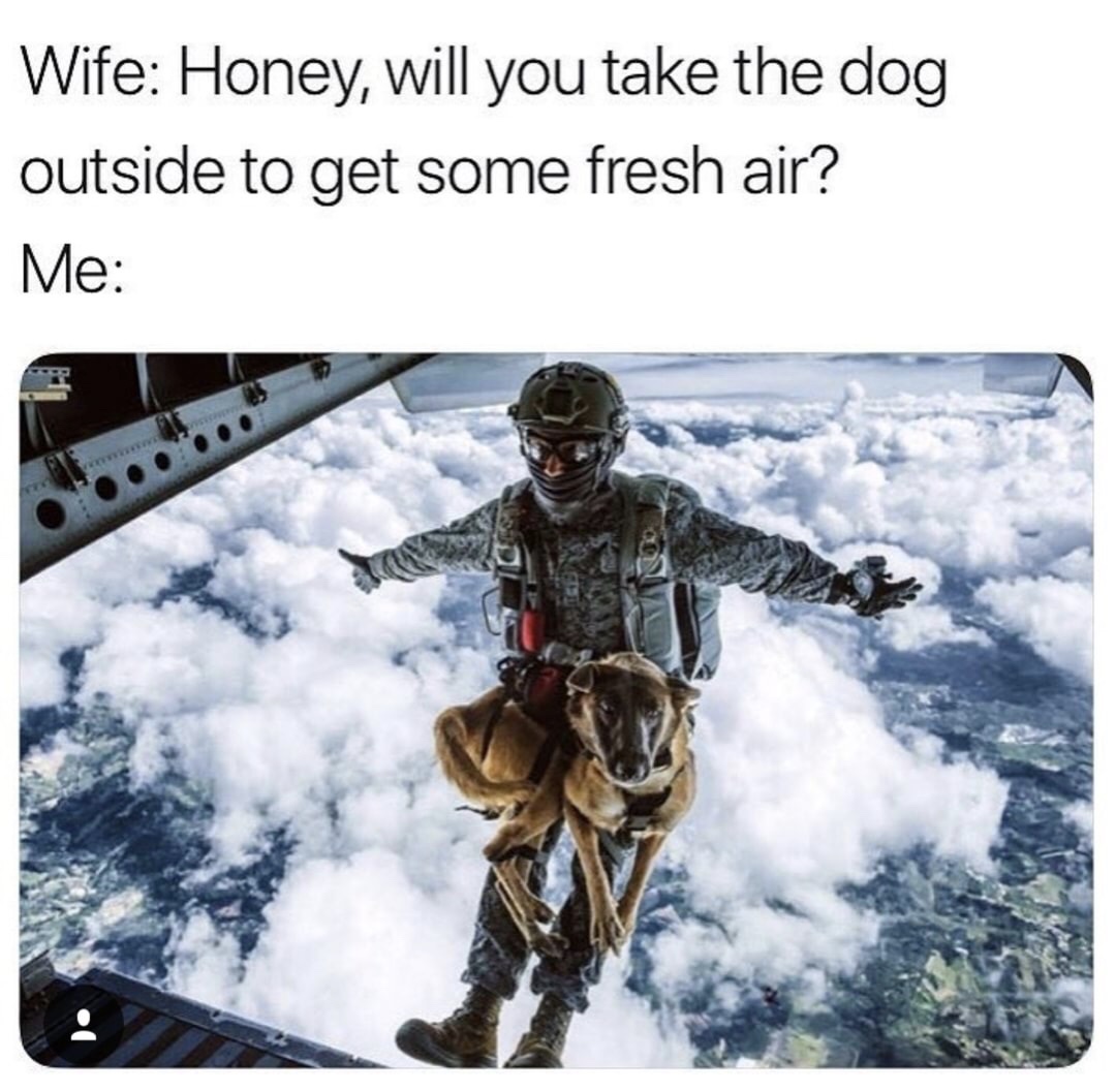 dog skydiving - Wife Honey, will you take the dog outside to get some fresh air? Me