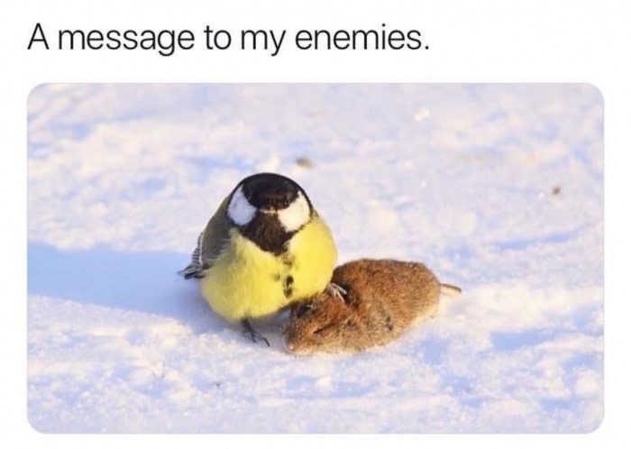 A message to my enemies.