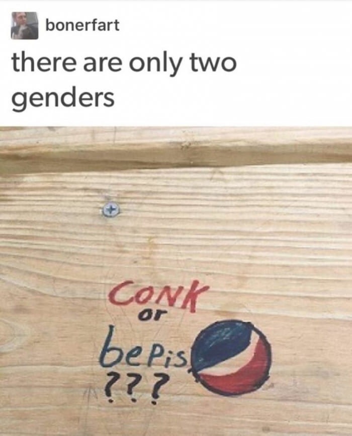 there are only two genders meme - bonerfart there are only two genders Conk bepis ???
