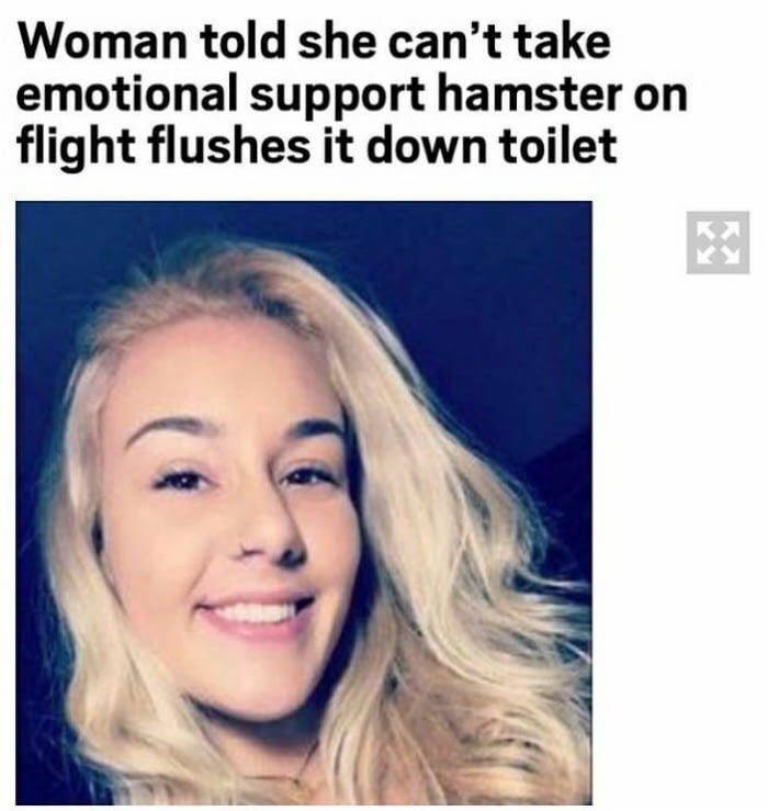 Article of woman who flushed her emotional support hamster down the toilet