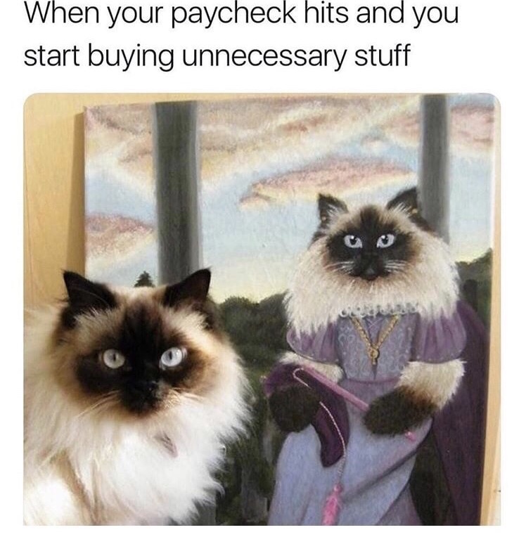 cat meme about when your paycheck hits and you start buying unneeded stuff