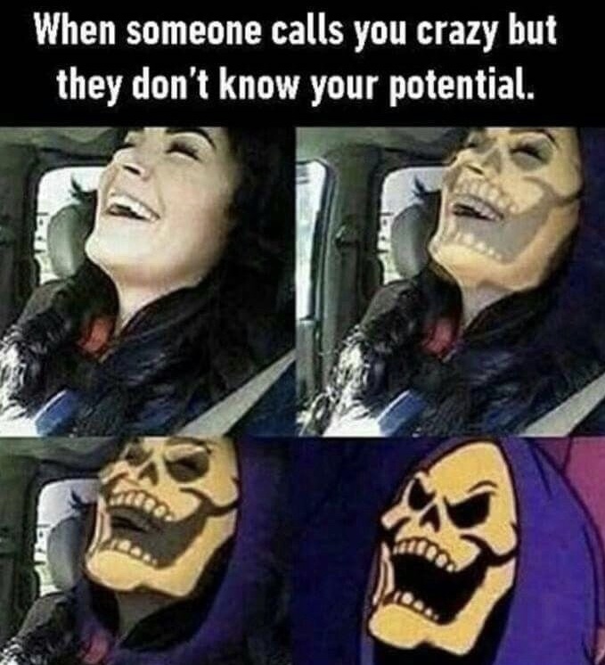 Skeletor meme about when someone says you are crazy
