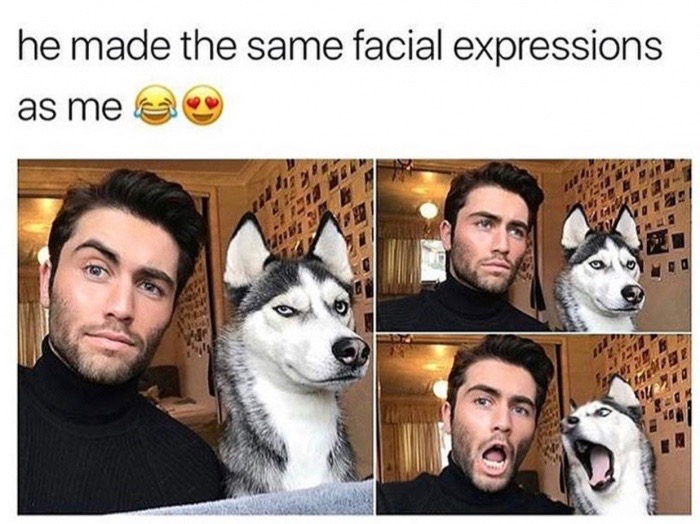 husky and human - he made the same facial expressions as meae