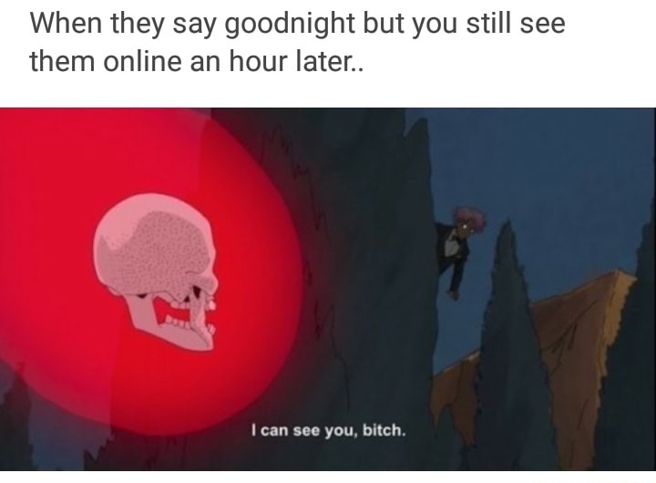 can see you bitch - When they say goodnight but you still see them online an hour later.. I can see you, bitch.