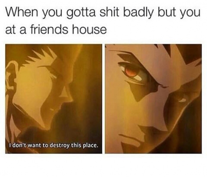 you gotta shit badly but you - When you gotta shit badly but you at a friends house I don't want to destroy this place.