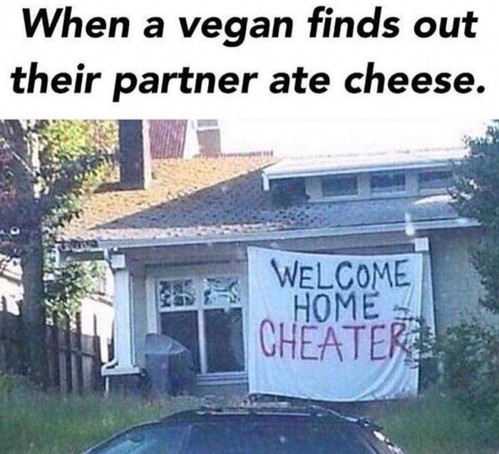 welcome home cheater - When a vegan finds out their partner ate cheese. Welcome Home Cheaters