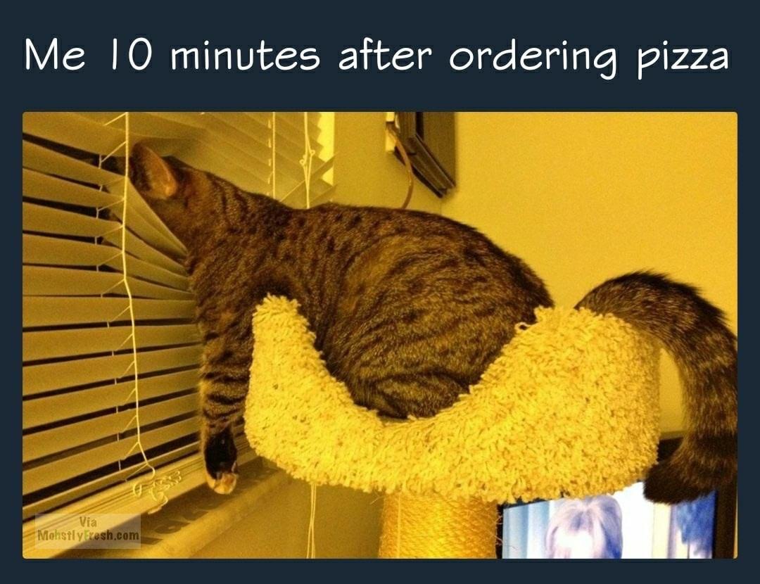 dank meme waiting for package - Me 10 minutes after ordering pizza Via Mohstlylkesh.com