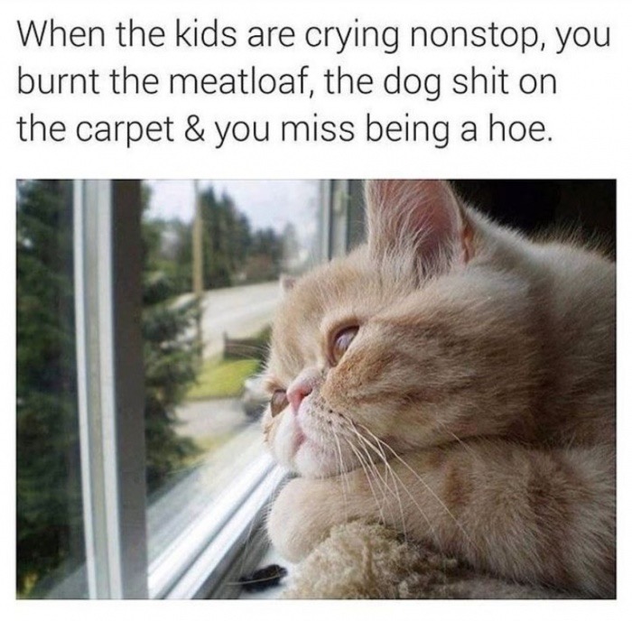 dank meme you miss being a hoe - When the kids are crying nonstop, you burnt the meatloaf, the dog shit on the carpet & you miss being a hoe.