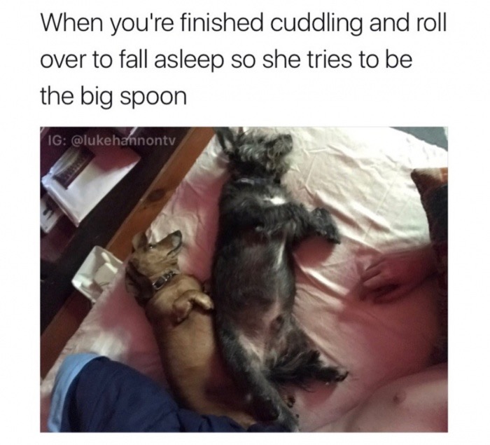dank meme photo caption - When you're finished cuddling and roll over to fall asleep so she tries to be the big spoon Ig