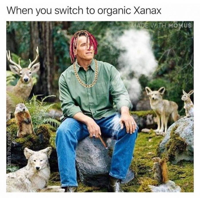 xanax dank meme - When you switch to organic Xanax Made With Momus 3433 adam.the.creator