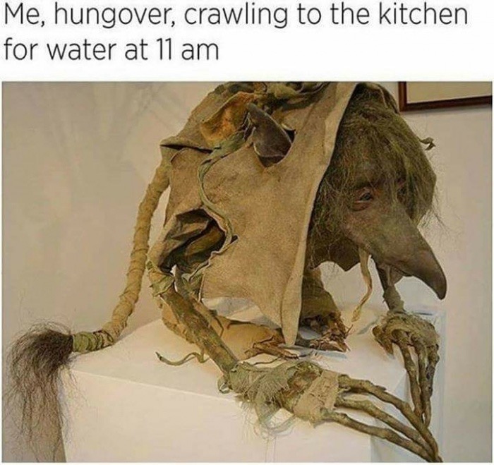 water hungover - Me, hungover, crawling to the kitchen for water at 11 am