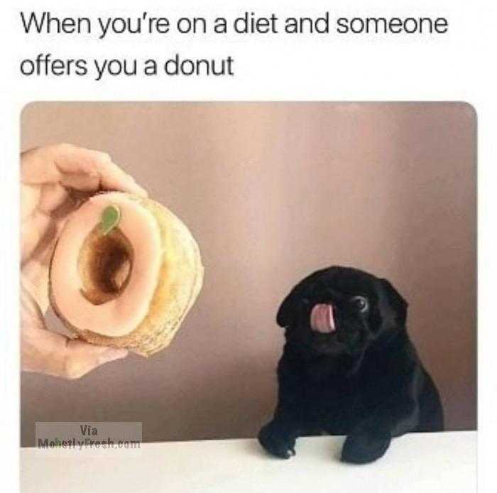 you re on a diet and someone offers you a donut - When you're on a diet and someone offers you a donut Via Mohotlylivesh.com