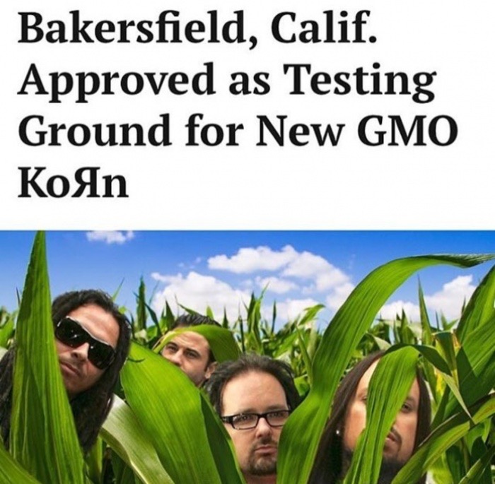 grass - Bakersfield, Calif. Approved as Testing Ground for New Gmo Kon