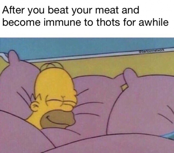 funny - After you beat your meat and become immune to thots for awhile