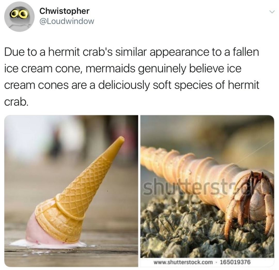 aesthetic crab - Chwistopher Due to a hermit crab's similar appearance to a fallen ice cream cone, mermaids genuinely believe ice cream cones are a deliciously soft species of hermit crab. shutterstock . 165019376