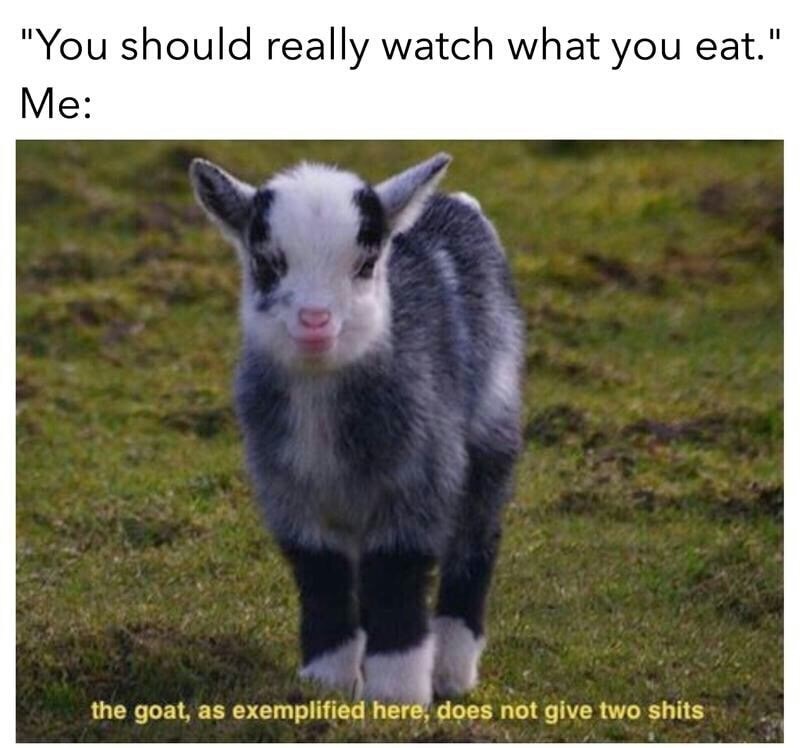 goat as exemplified here does not give two shits - "You should really watch what you eat." Me the goat, as exemplified here, does not give two shits
