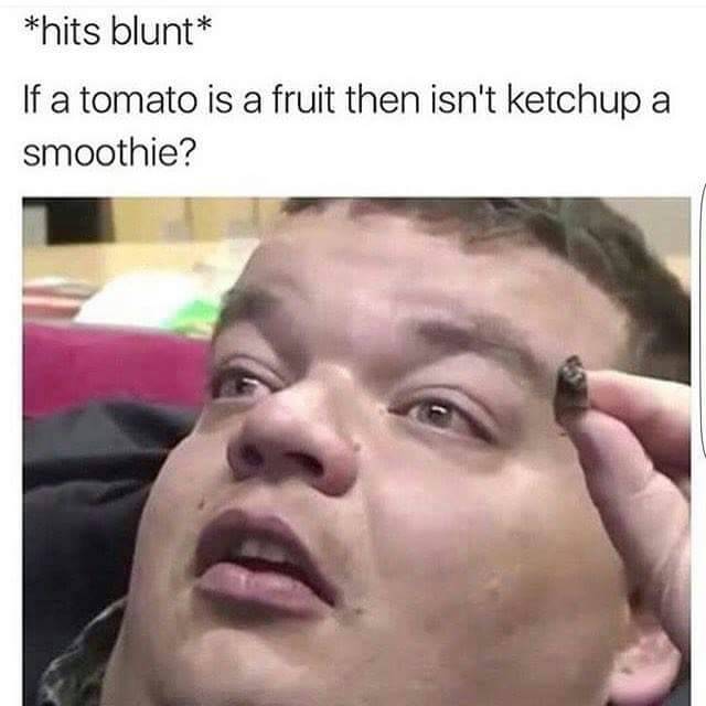 blunt guy meme - hits blunt If a tomato is a fruit then isn't ketchup a smoothie?
