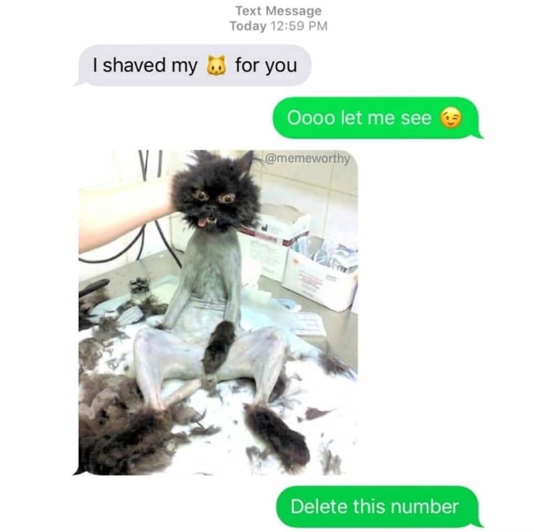 shaved my kitty for you - Text Message Today I shaved my for you Oooo let me see Delete this number