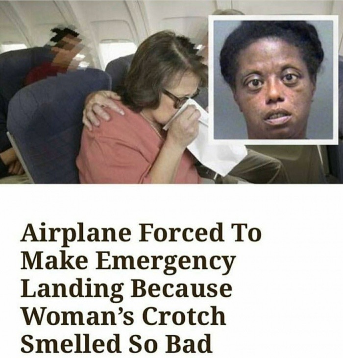 airplane forced to make emergency landing crotch - Airplane Forced To Make Emergency Landing Because Woman's Crotch Smelled So Bad