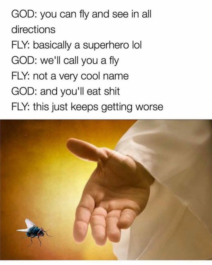 accept jesus - God you can fly and see in all directions Fly basically a superhero lol God we'll call you a fly Fly not a very cool name God and you'll eat shit Fly this just keeps getting worse