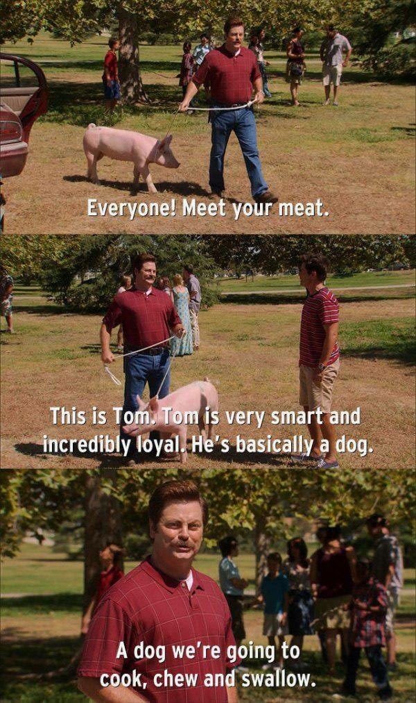 parks and rec meet your meat - Everyone! Meet your meat. This is Tom. Tom is very smart and incredibly loyal. He's basically a dog. A dog we're going to cook, chew and swallow.