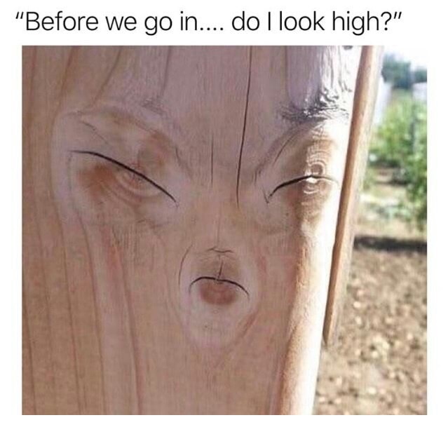 before we go in do i look high - "Before we go in.... do I look high?"