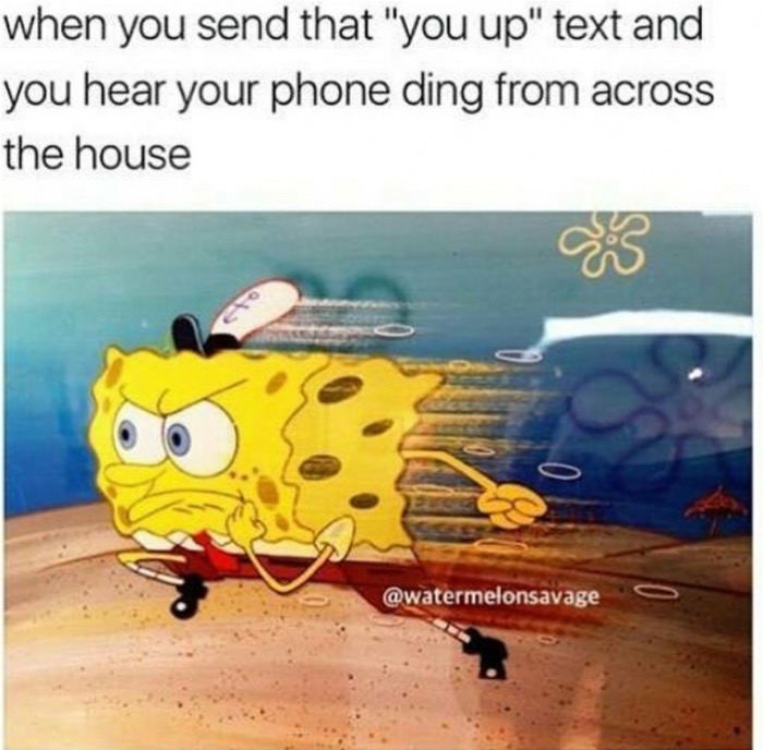 spongebob tard guard memes - when you send that "you up" text and you hear your phone ding from across the house