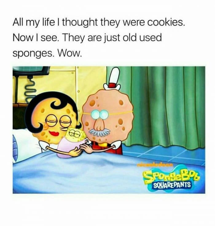 spongebob squarepants - All my life I thought they were cookies. Now I see. They are just old used sponges. Wow. Sportesz Square Pants