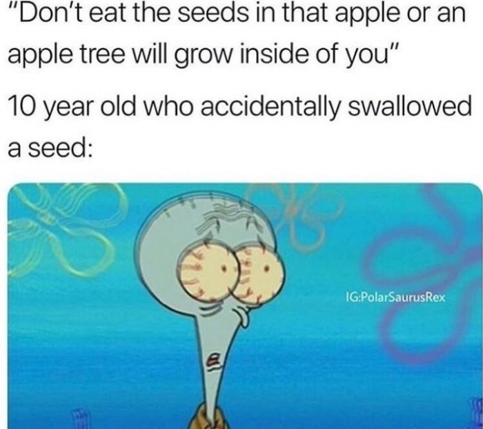 apple seed meme - "Don't eat the seeds in that apple or an apple tree will grow inside of you" 10 year old who accidentally swallowed a seed IgPolarSaurus Rex