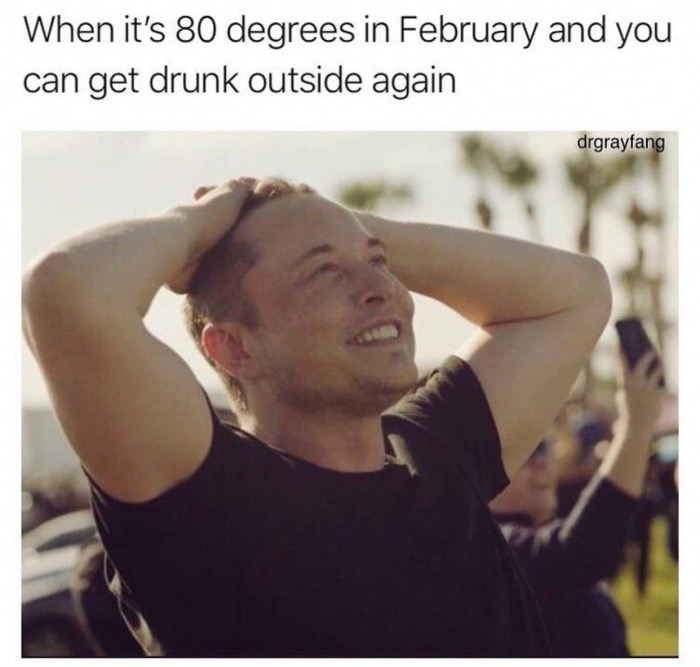 elon musk find someone - When it's 80 degrees in February and you can get drunk outside again drgrayfang