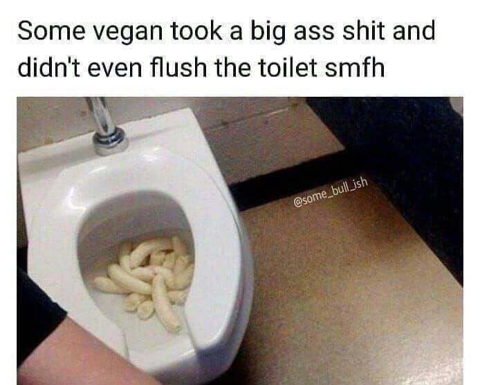 big ass shit - Some vegan took a big ass shit and didn't even flush the toilet smfh