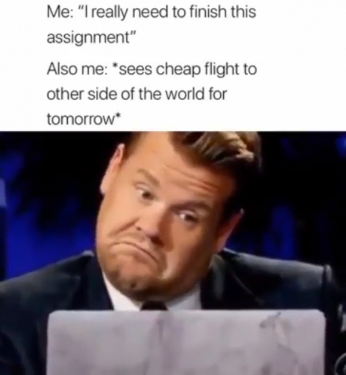 really need to finish this assignment - Me "I really need to finish this assignment" Also me sees cheap flight to other side of the world for tomorrow