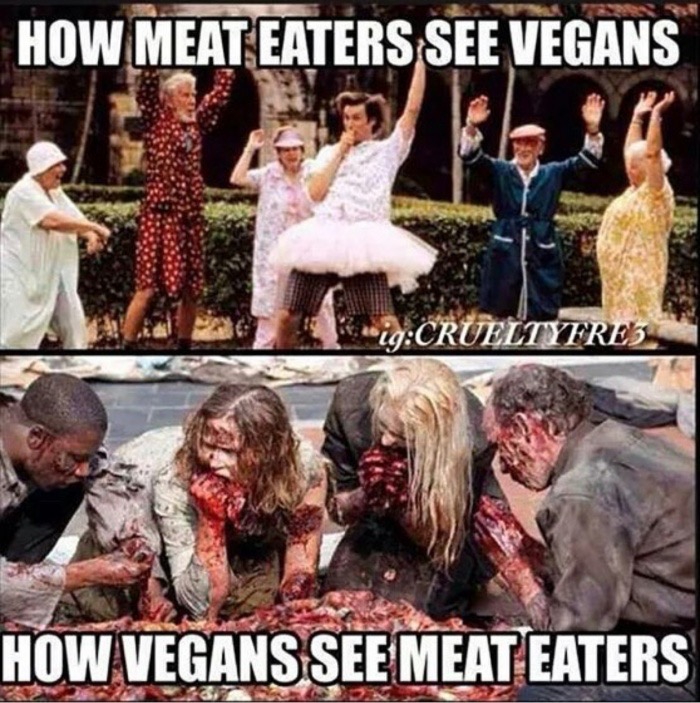 vegan vs meat meme - How Meat Eaters See Vegans igCrueltyfres How Vegans See Meat Eaters