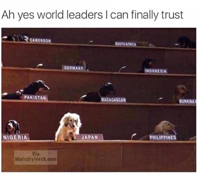 animal memes - Ah yes world leaders I can finally trust Cameroon South Africa Germany Indonesia Pakistan Madagascar Burkinat Nigeria Japan Philippines Via Mohstly Fresh.com